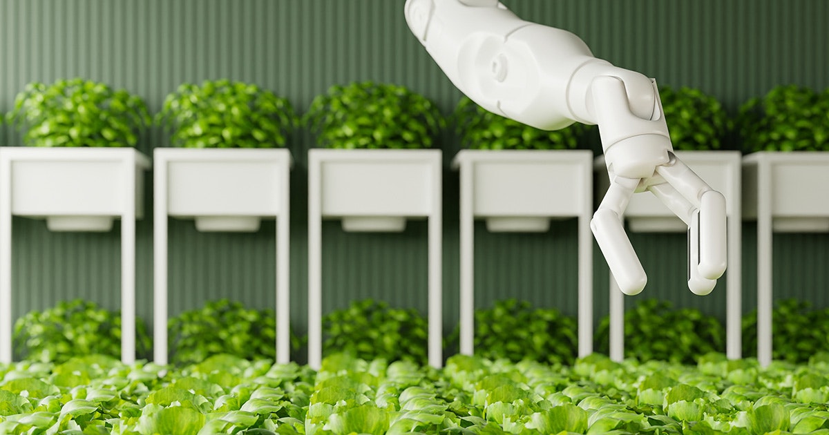 Enhancing and optimizing agricultural processes in the farming industry and our food  