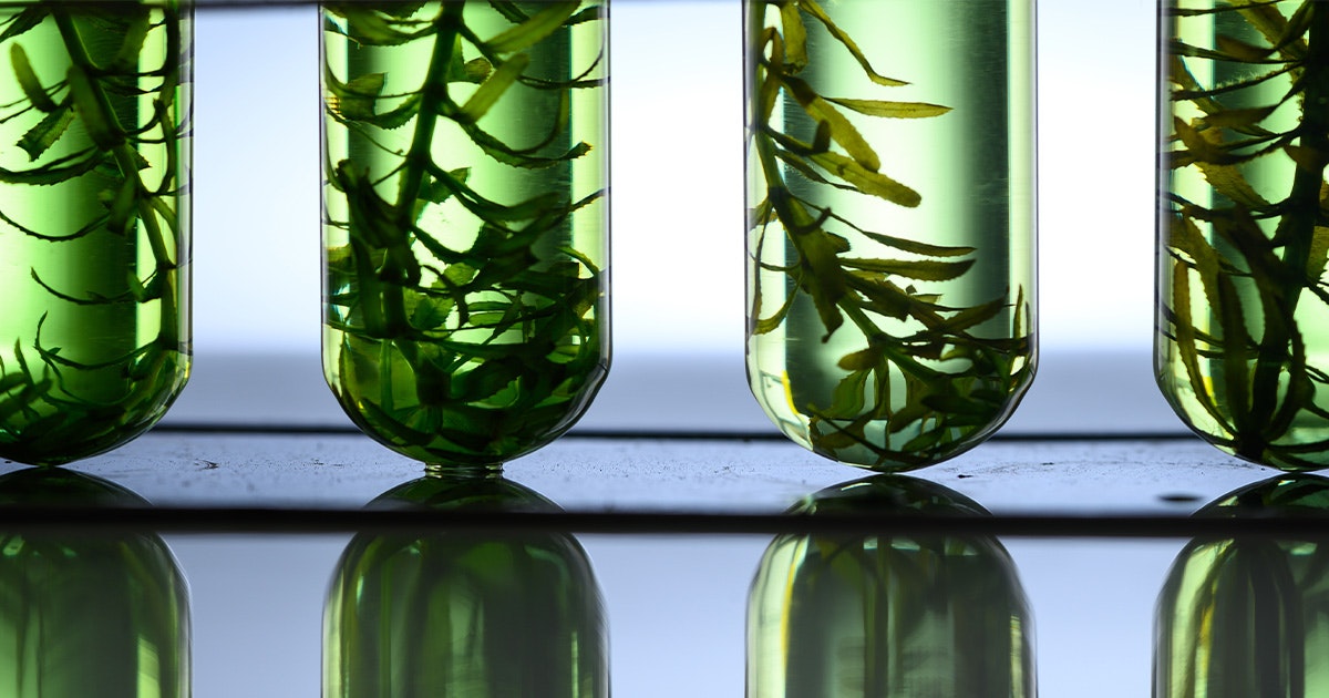 Harnessing natural science and engineering to improve and save lives